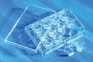 Corning� Transwell� polycarbonate membrane cell culture inserts CLS3413-48EA