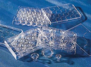 Corning� Transwell� polyester membrane cell culture inserts CLS3452-24EA