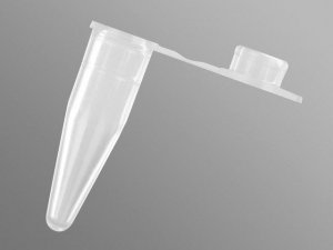 PCR tubes with flat caps AXYPCR02C