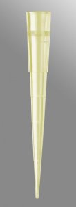 Pipette tips for Eppendorf� pipettors AXYTE204YR
