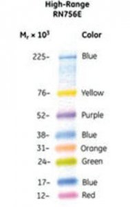 Amersham� ECL� Rainbow� Marker - Full range GERPN756E