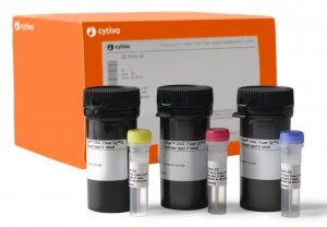 CyDye� DIGE Fluor, Minimal Labeling Kit GE28-9345-30