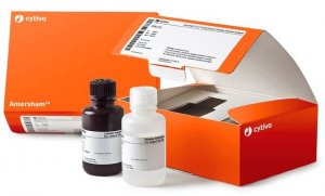 ECL� Detection Reagents GERPN2105