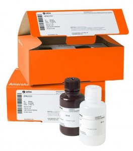 ECL� Prime Western Blotting Detection Reagent GERPN2236