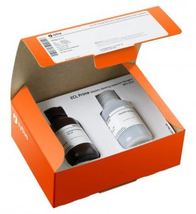 ECL� Prime Western Blotting System GERPN2232