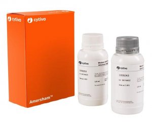 ECL� Western Blotting Reagents GERPN2134