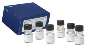 Gel Filtration Cal Kit Low Molecular Weight GE28-4038-41