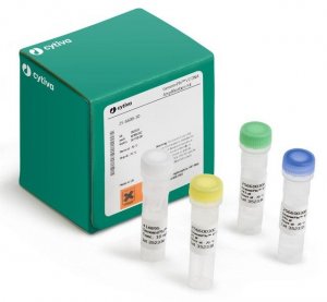 Genomiphi� V2 DNA Amplification Kit GE25-6600-31