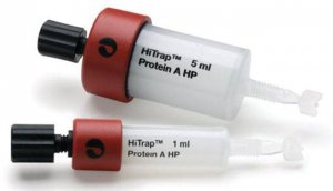 HiTrap� Protein A High Performance GE17-0403-01
