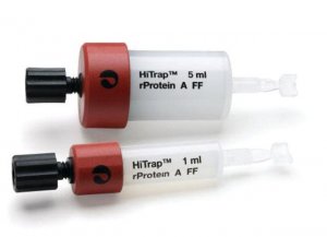HiTrap� rprotein A Fast Flow GE17-5080-01