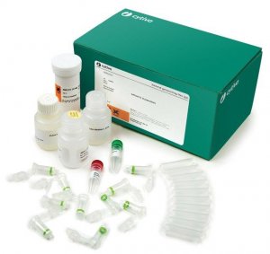 illustra� Bacteria Mini (250) GE28-9042-59