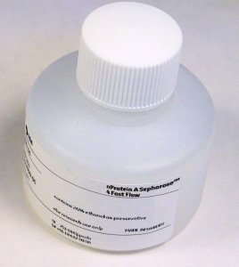 nProtein A Sepharose� 4 Fast Flow GE17-5280-04