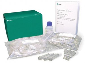 ProbeQuant� G-50 Micro Columns GE28-9034-08
