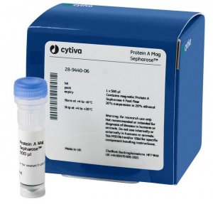 Protein A Mag Sepharose� GE28-9440-06