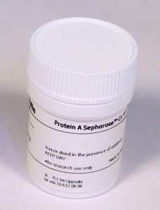 Protein A Sepharose� Cl-4B GE17-0963-02