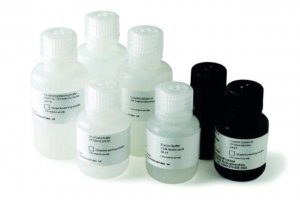 Protein A_G High Performance Spintrap� Buffer Kit GE28-9135-67