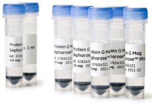 Protein G Mag Sepharose� Xtra GE28-9670-70