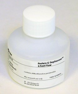 Protein G Sepharose� 4 Fast Flow GE17-0618-02