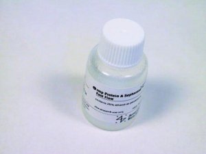 rmp Protein A Sepharose� Fast Flow GE17-5138-01