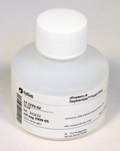 rProtein A Sepharose� Fast Flow GE17-1279-01