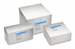 Whatman� quadrant folded cellulose fiber filter papers WHA10380406