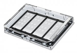 Grace Bio-Labs CultureWell� coverglass inserts, with 4 chambered coverglasses GBL103480-10EA