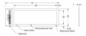 Grace Bio-Labs ONCYTE� AVID� nitrocellulose film slides GBL305177-20EA