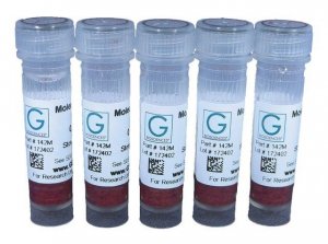 Molecular Grinding Resin� Z742663-1EA