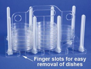 Bel-Art� Petri Dish Rack BAF189850100-1EA
