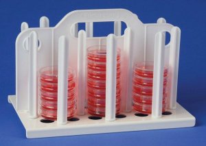 Bel-Art� Petri Dish Rack BAF189910060-1EA