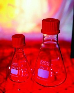 Duran� Erlenmeyer flasks with screw cap 
