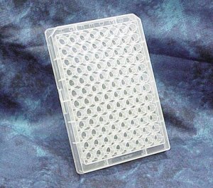 Greiner 96 well plates, polypropylene Z667234-80EA