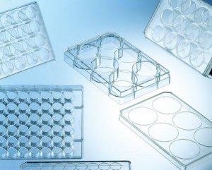 Greiner CELLSTAR� multiwell culture plates 