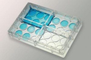 IdMOC� collagen plate 