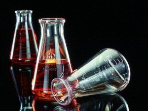 Nalgene� polycarbonate Erlenmeyer flask 