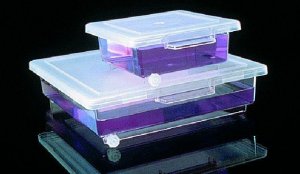 Nalgene� staining box 