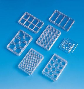 Nunclon� Multidishes Z687162-100EA