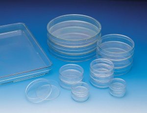 Nunclon� cell culture dishes TMO174888