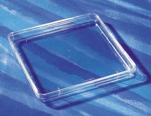 Nunc� Bioassay Dish 