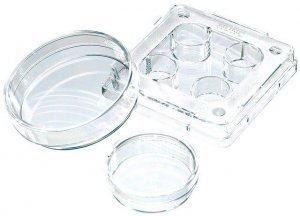 Nunc� IVF multidish 