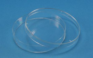Nunc� petri dishes Z717223-320EA