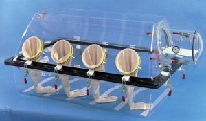 Plas-Labs basic multi-station glove box Z563315-1EA
