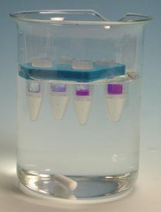 Pur-A-Lyzer� Floating Racks for Dialysis PURGR-1EA