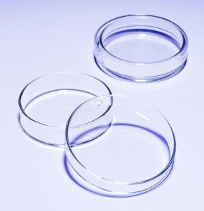 Pyrex� Petri dish SLW1480/10D-10EA
