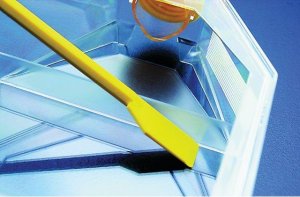 TPP� cell culture spatula Z707643-150EA