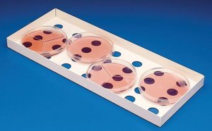 Bel-Art� Petri Dish Incubation Tray BAF189830000-1EA