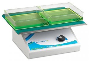Everlast� rocker with flat mat 