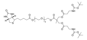Polyester bis-MPA dendron 2 NHBoc, 1 Biotin (core) 911577-50MG