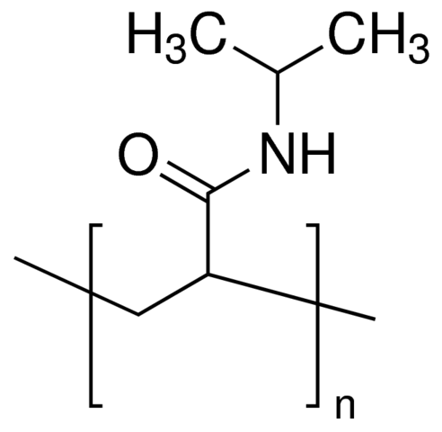 Poly(N-isopropylacrylamide) 535311-10G