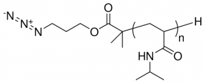 Poly(N-isopropylacrylamide) azide terminated 900740-1G